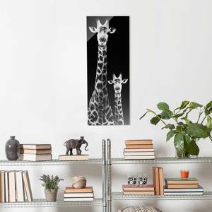 Glasbild Giraffen Duo Schwarz;Weiß - 50 x 125 x 0,4 cm