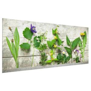 Tableau en verre Herbes Beige - 80 x 30 x 0,4 cm - 80 x 30 cm