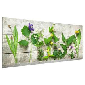 Tableau en verre Herbes Beige - 125 x 50 x 0,4 cm - 125 x 50 cm