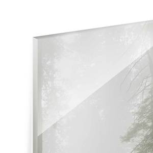 Glasbild Nebliger Waldpfad Grün - 50 x 125 x 0,4 cm - 50 x 125 cm