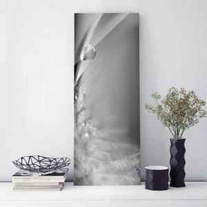 Tableau en verre Story of a Waterdrop II Noir et blanc - 80 x 30 x 0,4 cm - 80 x 30 cm