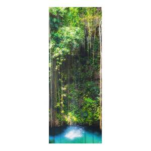 Glasbild Hängende Wurzeln Grün - 50 x 125 x 0,4 cm