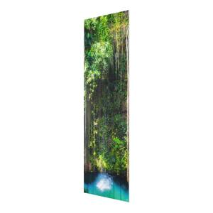 Tableau en verre Aromates suspendues Vert - 50 x 125 x 0,4 cm