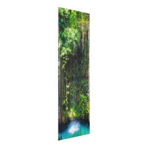 Glasbild Hängende Wurzeln Grün - 50 x 125 x 0,4 cm