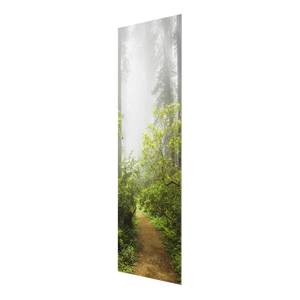 Tableau en verre Brume dans les bois Vert - 30 x 80 x 0,4 cm - 30 x 80 cm