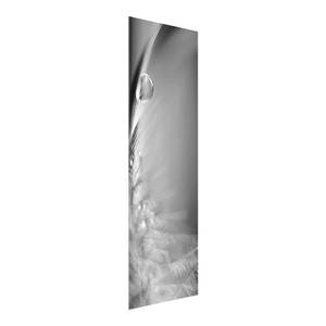 Tableau en verre Story of a Waterdrop II Noir et blanc - 125 x 50 x 0,4 cm - 125 x 50 cm