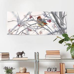 Glasbild Seidenschwanz im Baum Weiß - 125 x 50 x 0,4 cm