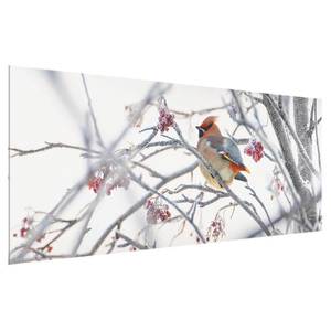 Quadro di vetro Uccello su rami innevati Bianco - 125 x 50 x 0,4 cm