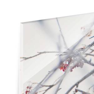 Glasbild Seidenschwanz im Baum Weiß - 125 x 50 x 0,4 cm