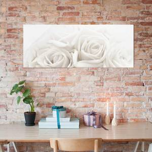 Tableau en verre Wedding Roses Blanc - 80 x 30 x 0,4 cm - 80 x 30 cm