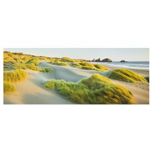 Glasbild Dünen und Gräser am Meer Grün - 80 x 30 x 0,4 cm - 80 x 30 cm