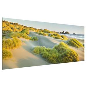 Glazen afbeelding Duinen en Grassen groen - 80 x 30 x 0,4 cm - 80 x 30 cm