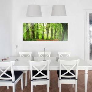 Glasbild Mighty Beech Trees Grün - 125 x 50 x 0,4 cm