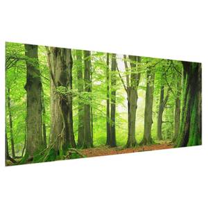 Quadro di vetro Mighty Beech Trees Verde - 125 x 50 x 0,4 cm