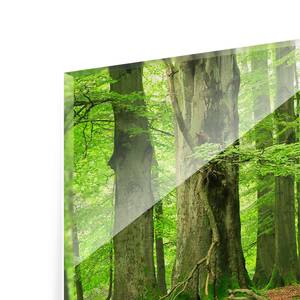 Glasbild Mighty Beech Trees Grün - 125 x 50 x 0,4 cm