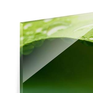 Glazen afbeelding Drops of Nature groen - 80 x 30 x 0,4 cm - 80 x 30 cm