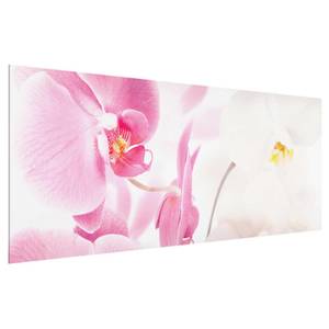Glasbild Delicate Orchids Pink - 125 x 50 x 0,4 cm - 125 x 50 cm
