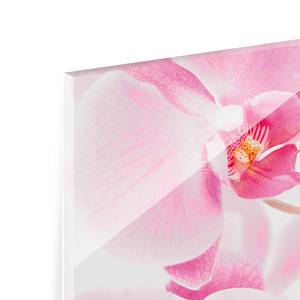 Glasbild Delicate Orchids Pink - 125 x 50 x 0,4 cm - 125 x 50 cm