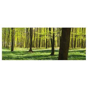 Quadro di vetro Foresta assolata Verde - 125 x 50 x 0,4 cm