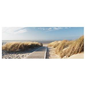 Glasbild Ostsee Strand Beige - 80 x 30 x 0,4 cm - 80 x 30 cm