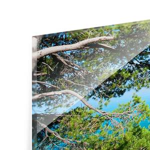 Quadro di vetro Hidden Paradise Blu - 80 x 30 x 0,4 cm - 80 x 30 cm