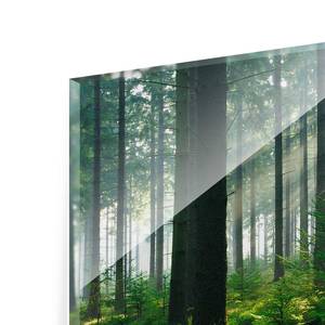 Glazen afbeelding Enlightened Forest groen - 125 x 50 x 0,4 cm
