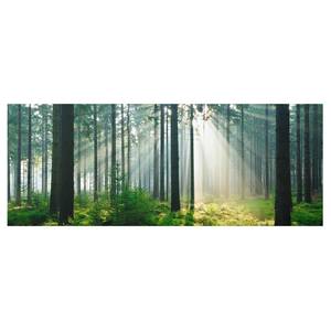 Quadro di vetro Enlightened Forest Verde - 125 x 50 x 0,4 cm