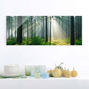 Glazen afbeelding Enlightened Forest groen - 125 x 50 x 0,4 cm