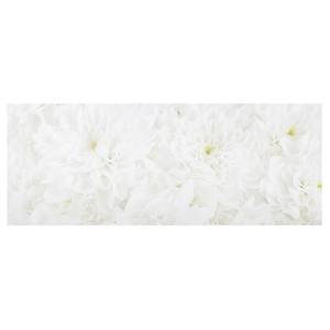 Glasbild Dahlien Blumenmeer Weiß - 125 x 50 x 0,4 cm - 125 x 50 cm