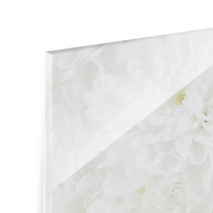 Quadro di vetro Dalie bianche Bianco - 125 x 50 x 0,4 cm - 125 x 50 cm