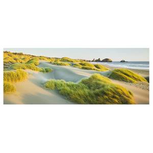 Tableau en verre Dunes et bord de mer Vert - 125 x 50 x 0,4 cm - 125 x 50 cm