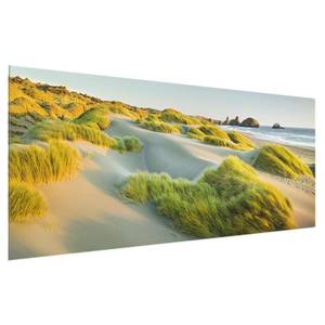 Glazen afbeelding Duinen en Grassen groen - 125 x 50 x 0,4 cm - 125 x 50 cm