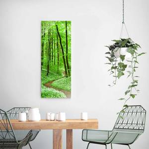 Glasbild Romantischer Waldweg Grün - 30 x 80 x 0,4 cm - 30 x 80 cm