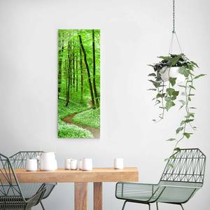 Quadro di vetro Sentiero nella foresta Verde - 50 x 125 x 0,4 cm - 50 x 125 cm