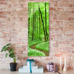 Glazen afbeelding Romantisch Bospad groen - 50 x 125 x 0,4 cm - 50 x 125 cm
