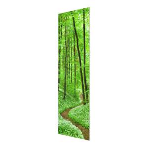 Quadro di vetro Sentiero nella foresta Verde - 50 x 125 x 0,4 cm - 50 x 125 cm