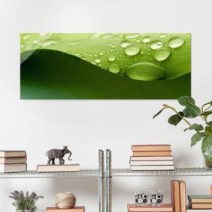 Glazen afbeelding Drops of Nature groen - 125 x 50 x 0,4 cm - 125 x 50 cm