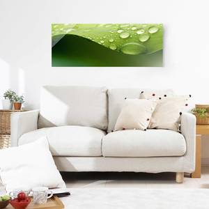 Tableau en verre Drops of Nature Vert - 125 x 50 x 0,4 cm - 125 x 50 cm
