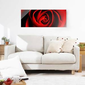 Glasbild Liebliche Rose Rot - 125 x 50 x 0,4 cm