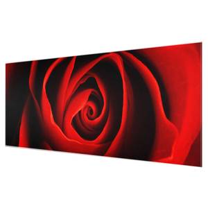 Glazen afbeelding Lieflijke Roos rood - 125 x 50 x 0,4 cm