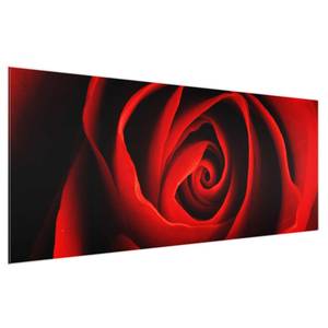 Tableau en verre Jolie Rose Rouge - 125 x 50 x 0,4 cm