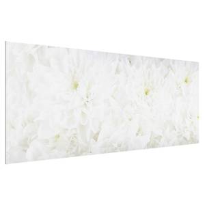 Glasbild Dahlien Blumenmeer Weiß - 80 x 30 x 0,4 cm - 80 x 30 cm