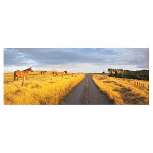 Glazen afbeelding Landweg bij Avondzon geel - 125 x 50 x 0,4 cm