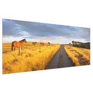 Tableau en verre Crépuscule Jaune - 125 x 50 x 0,4 cm