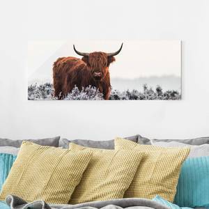 Glazen afbeelding Bison in de Highlands wit - 125 x 50 x 0,4 cm