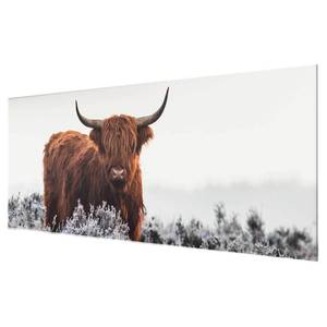 Glazen afbeelding Bison in de Highlands wit - 125 x 50 x 0,4 cm