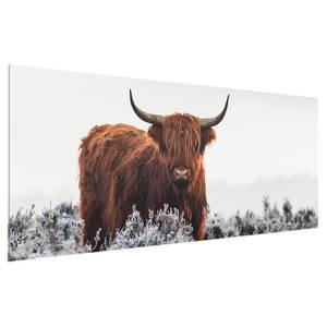 Glazen afbeelding Bison in de Highlands wit - 125 x 50 x 0,4 cm