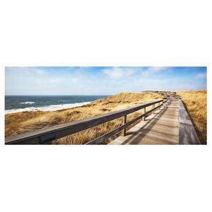 Glasbild Dünenweg an der Nordsee Mehrfarbig - 125 x 50 x 0,4 cm