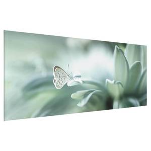 Glasbild Schmetterling und Tautropfen Grün - 80 x 30 x 0,4 cm - 80 x 30 cm