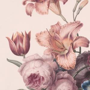 Soft Pink Rose, Poster, Kunstdrucke, Fototapeten